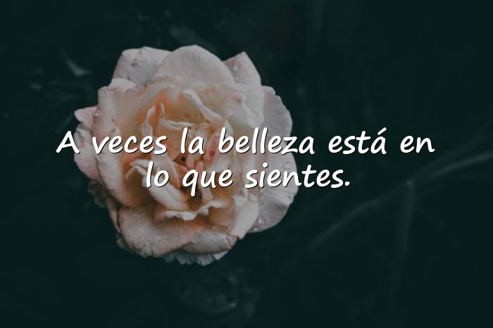 Imágenes frase bonita - 11