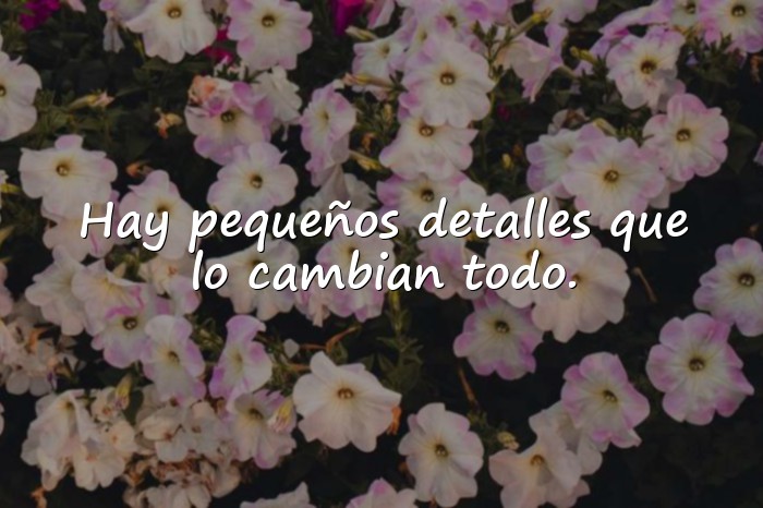 Imágenes frase bonita - 6
