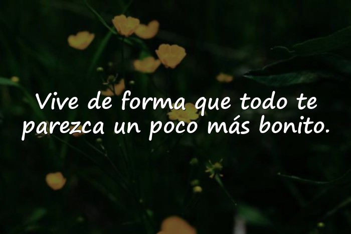 Imágenes frase bonita - 1
