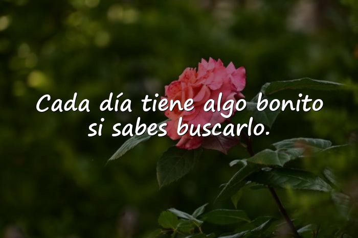 Imágenes frase bonita - 21