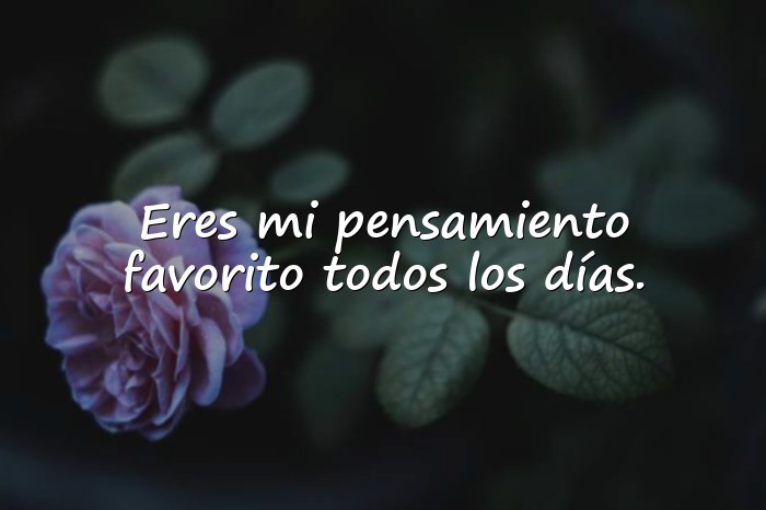 Imágenes frase de amor para mi novia - 2