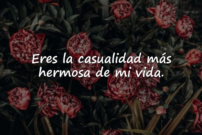 Imágenes frase de amor para mi novia - 25