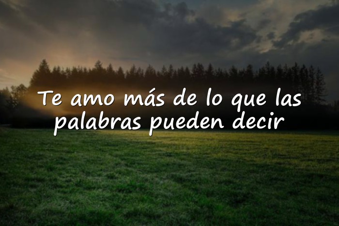 Imágenes frase de amor para mi novia - 19