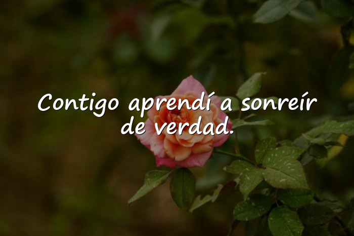 Imágenes frase de amor para mi novia - 13