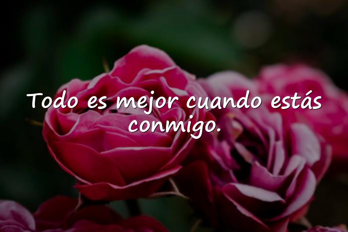Imágenes frase de amor para mi novia - 12