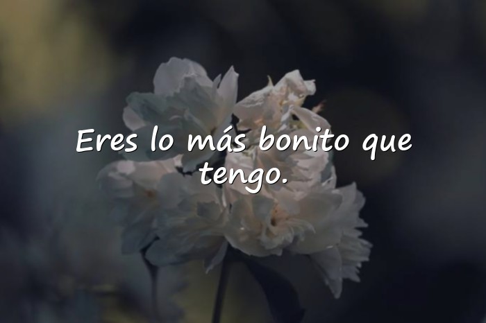 Imágenes frase de amor para mi novia - 7