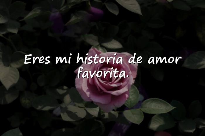 Imágenes frase de amor para mi novia - 4