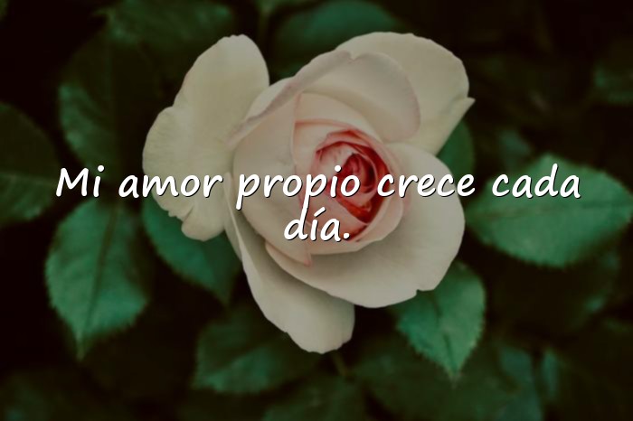 Imágenes frase de amor propio - 19