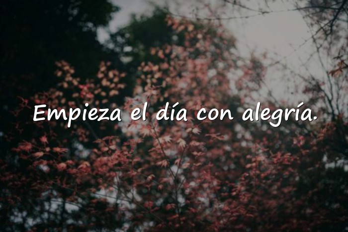 Imágenes frase de buenos dias - 4
