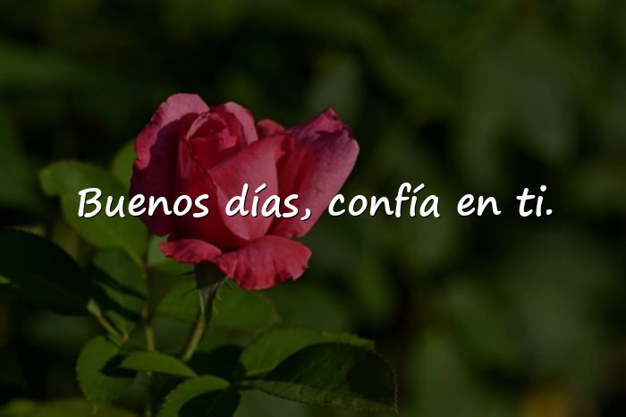 Imágenes frase de buenos dias - 2