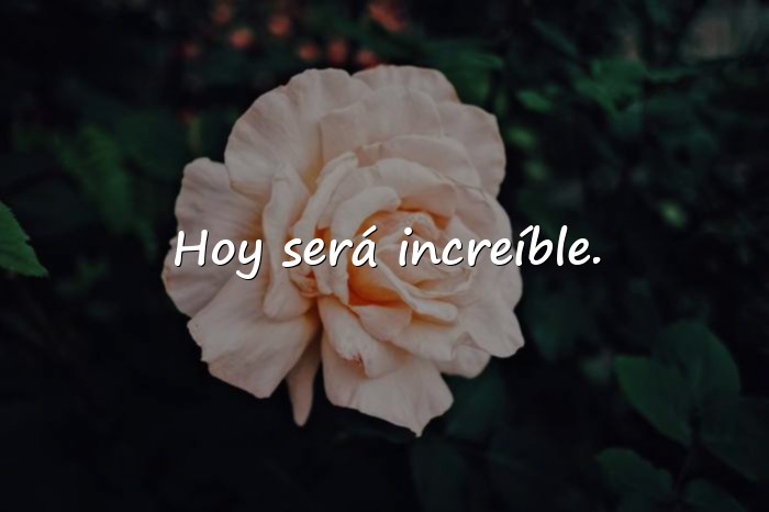 Imágenes frase de buenos dias - 19