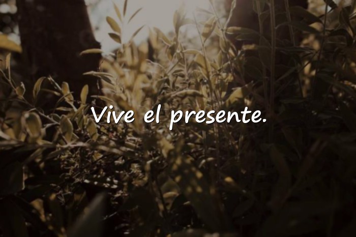 Imágenes frase de buenos dias - 13