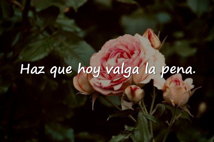 Imágenes frase de buenos dias - 11