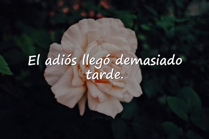 Imágenes frase de desamor - 24