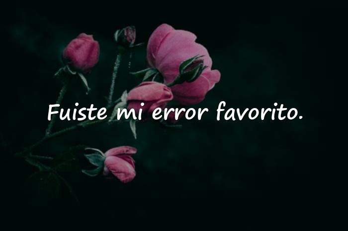 Imágenes frase de desamor - 18
