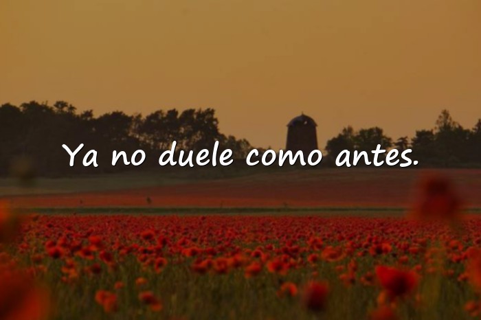 Imágenes frase de desamor - 15