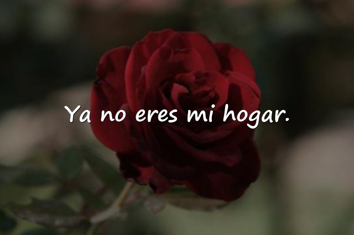 Imágenes frase de desamor - 12