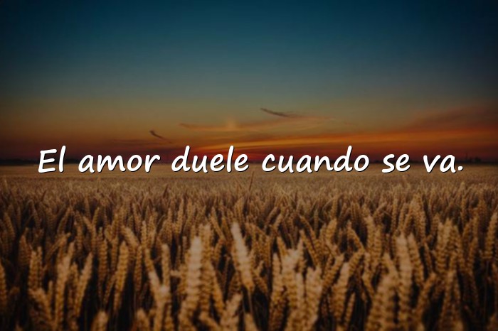 Imágenes frase de desamor - 4