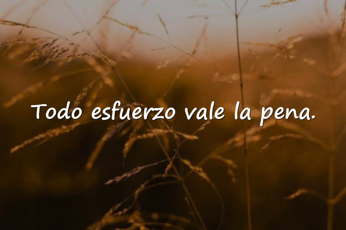 Imágenes frase de exito - 23