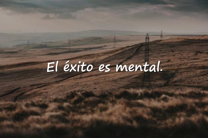 Imágenes frase de exito - 20