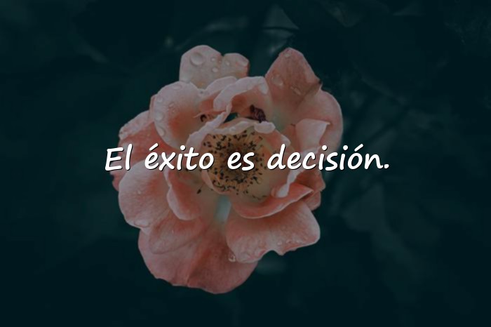 Imágenes frase de exito - 16