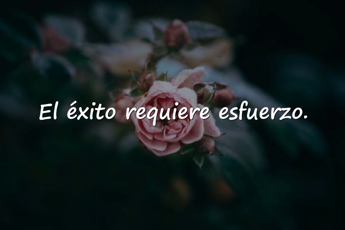Imágenes frase de exito - 13