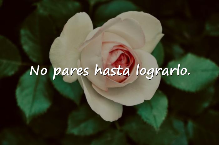 Imágenes frase de exito - 12