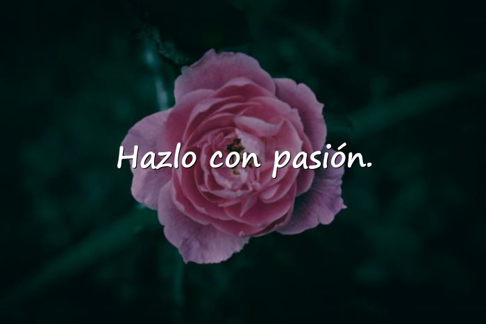 Imágenes frase de exito - 5