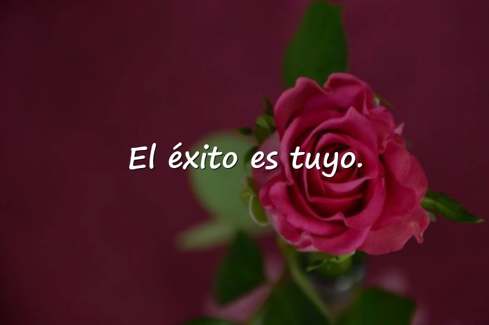 Imágenes frase de exito - 1