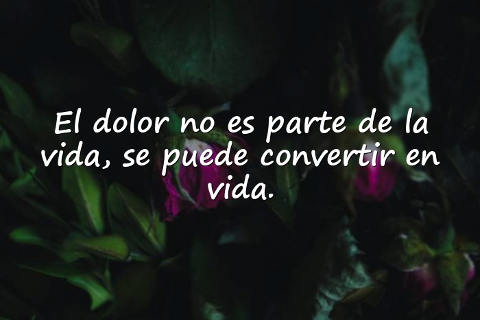 Imágenes frase de frida kahlo - 21