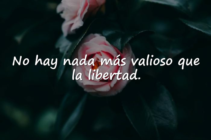 Imágenes frase de frida kahlo - 6