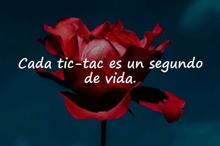Imágenes frase de frida kahlo - 1