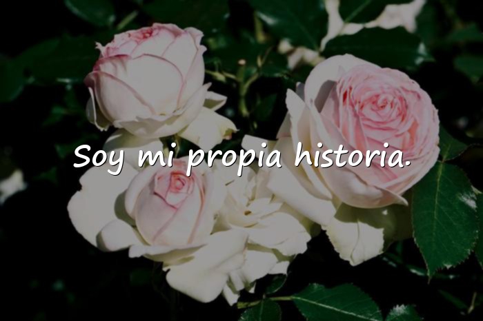 Imágenes frase de frida kahlo - 6