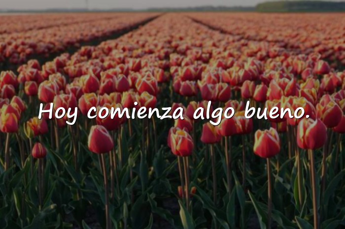 Imágenes frase de inicio de semana - 14