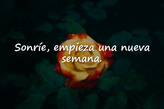 Imágenes frase de inicio de semana - 9