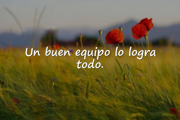 Imágenes frase de trabajo en equipo - 19
