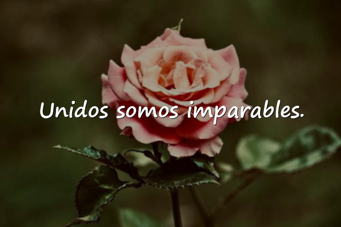 Imágenes frase de trabajo en equipo - 14