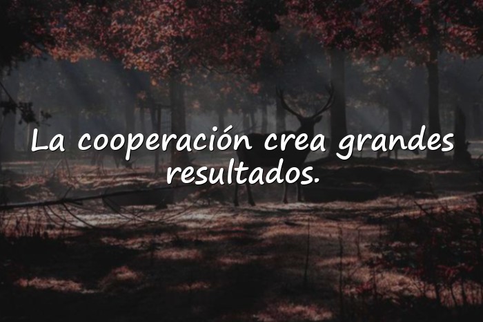 Imágenes frase de trabajo en equipo - 10