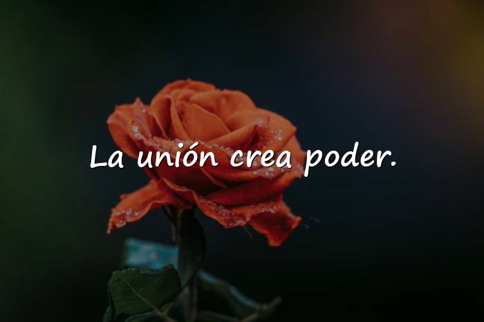 Imágenes frase de trabajo en equipo - 5