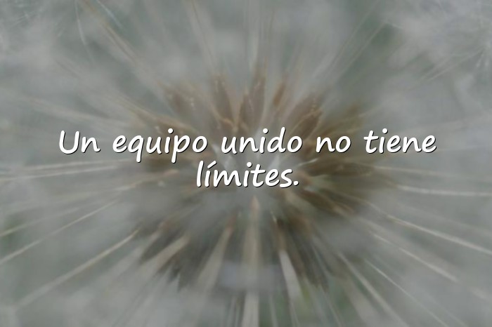 Imágenes frase de trabajo en equipo - 25