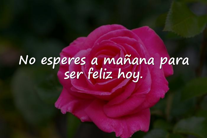 Imágenes frase del dia de hoy - 19