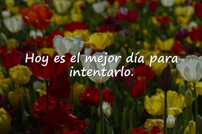 Imágenes frase del dia de hoy - 9