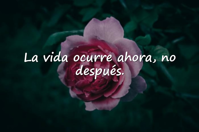 Imágenes frase del dia de hoy - 25