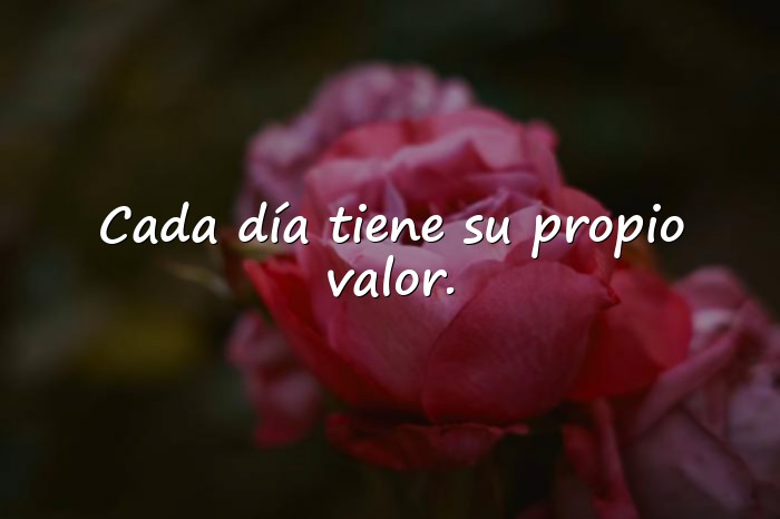 Imágenes frase del dia de hoy - 10