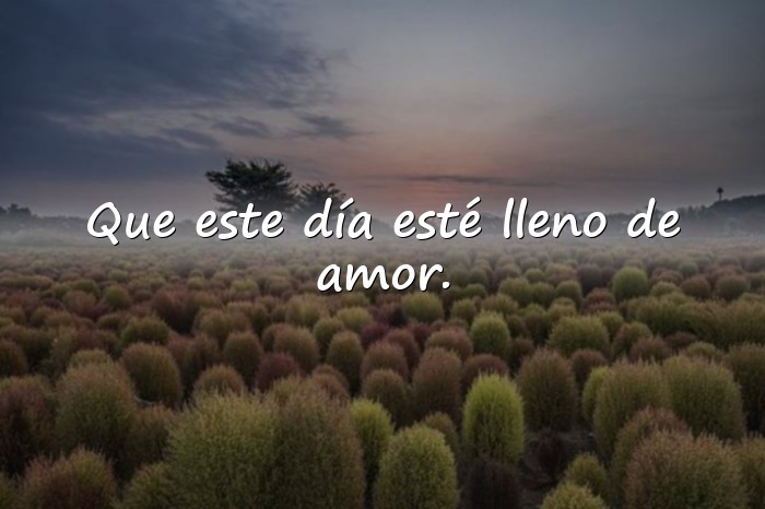 Imágenes frase feliz cumpleaños - 21
