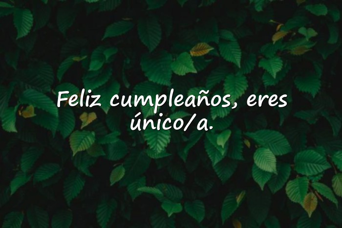 Imágenes frase feliz cumpleaños - 12