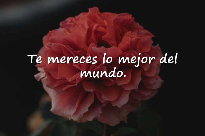 Imágenes frase feliz cumpleaños - 8