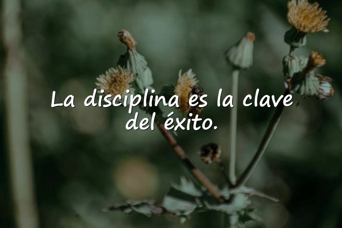 Imágenes frase motivadora para estudiantes - 10