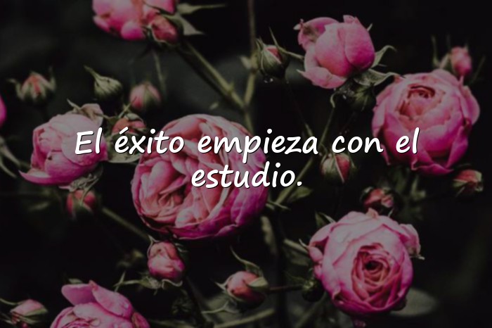 Imágenes frase motivadora para estudiantes - 7