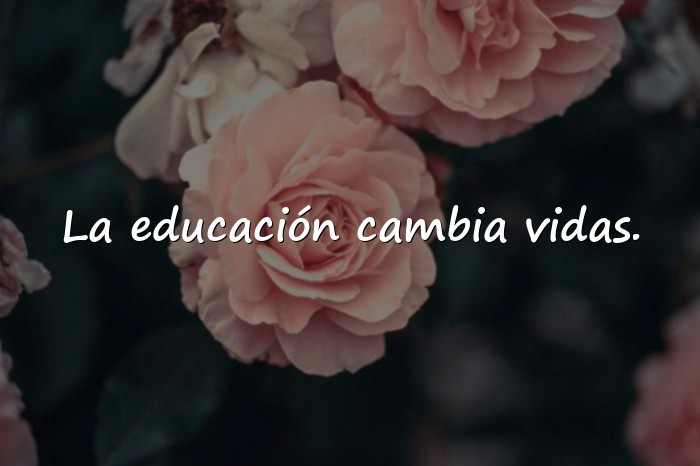 Imágenes frase motivadora para estudiantes - 3